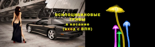 твердый Нефтегорск