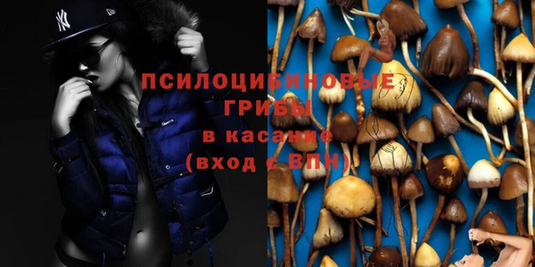 СК Абинск