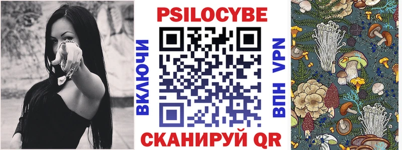 маркетплейс официальный сайт  Эртиль  Галлюциногенные грибы MAGIC MUSHROOMS 